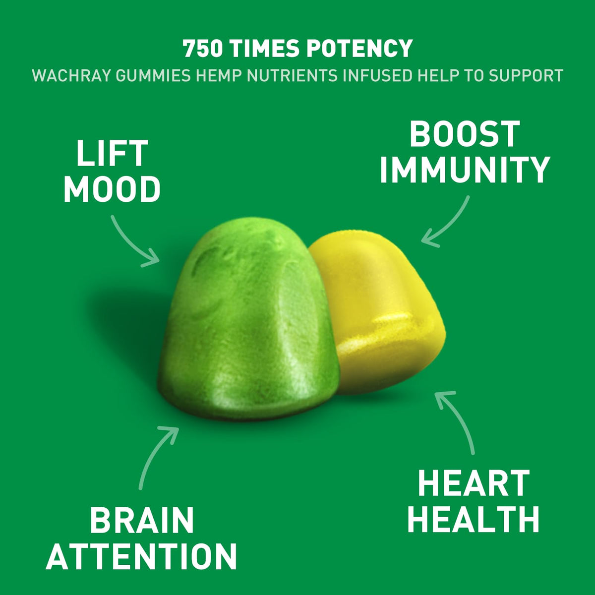 Organic Hemp Gummies 240 Count F419
