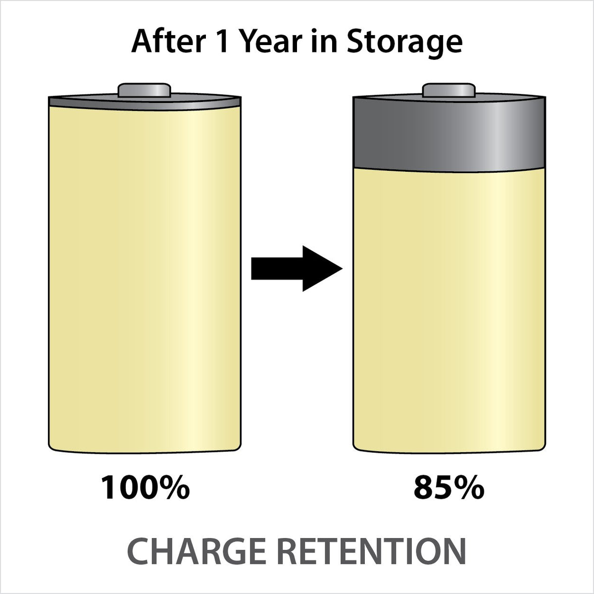 Rechargeable NiMH D Batteries 2-pack E3287
