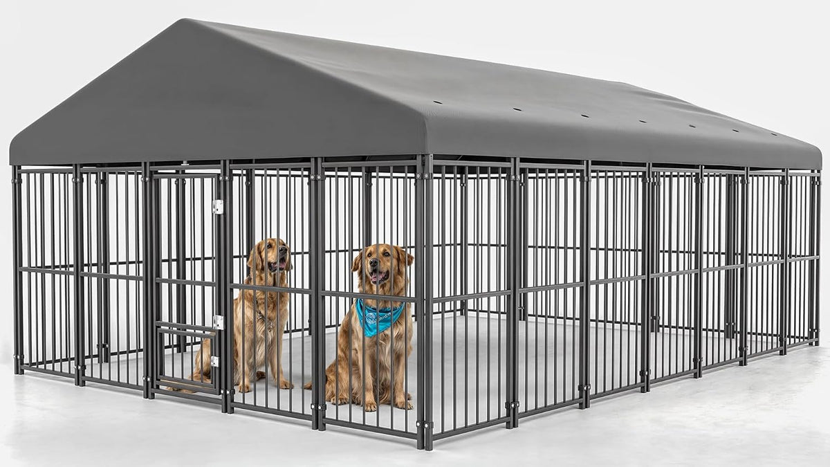 10x14FT Heavy Duty Large Dog Kennel Outdoor H4726