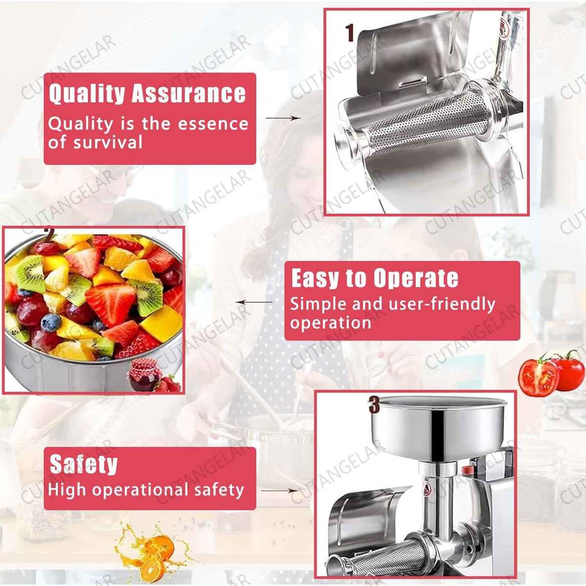 450W Stainless Steel Electric Sauce Maker W98036
