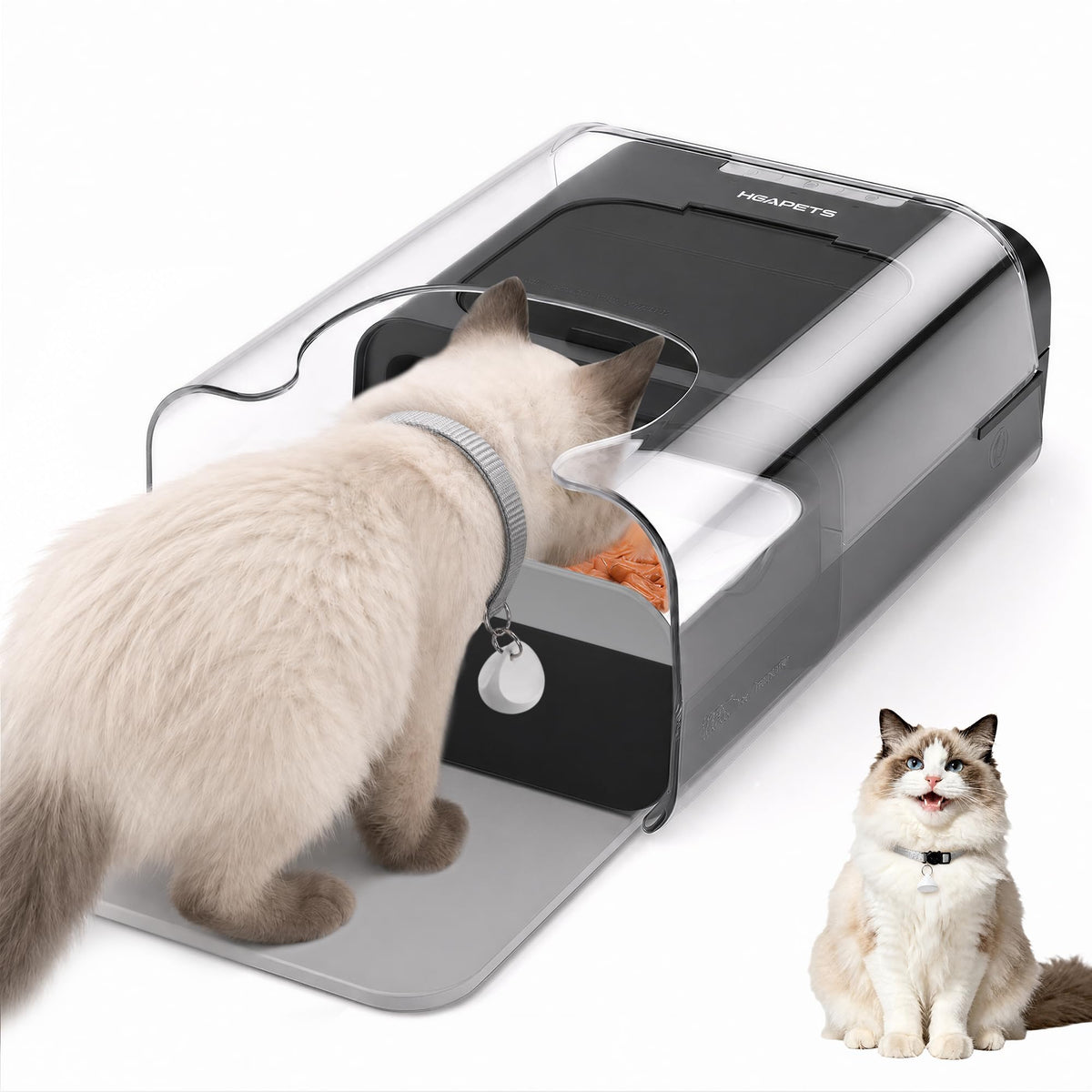 Automatic Cat Feeder with RFID Collar Sensor, Black Q927