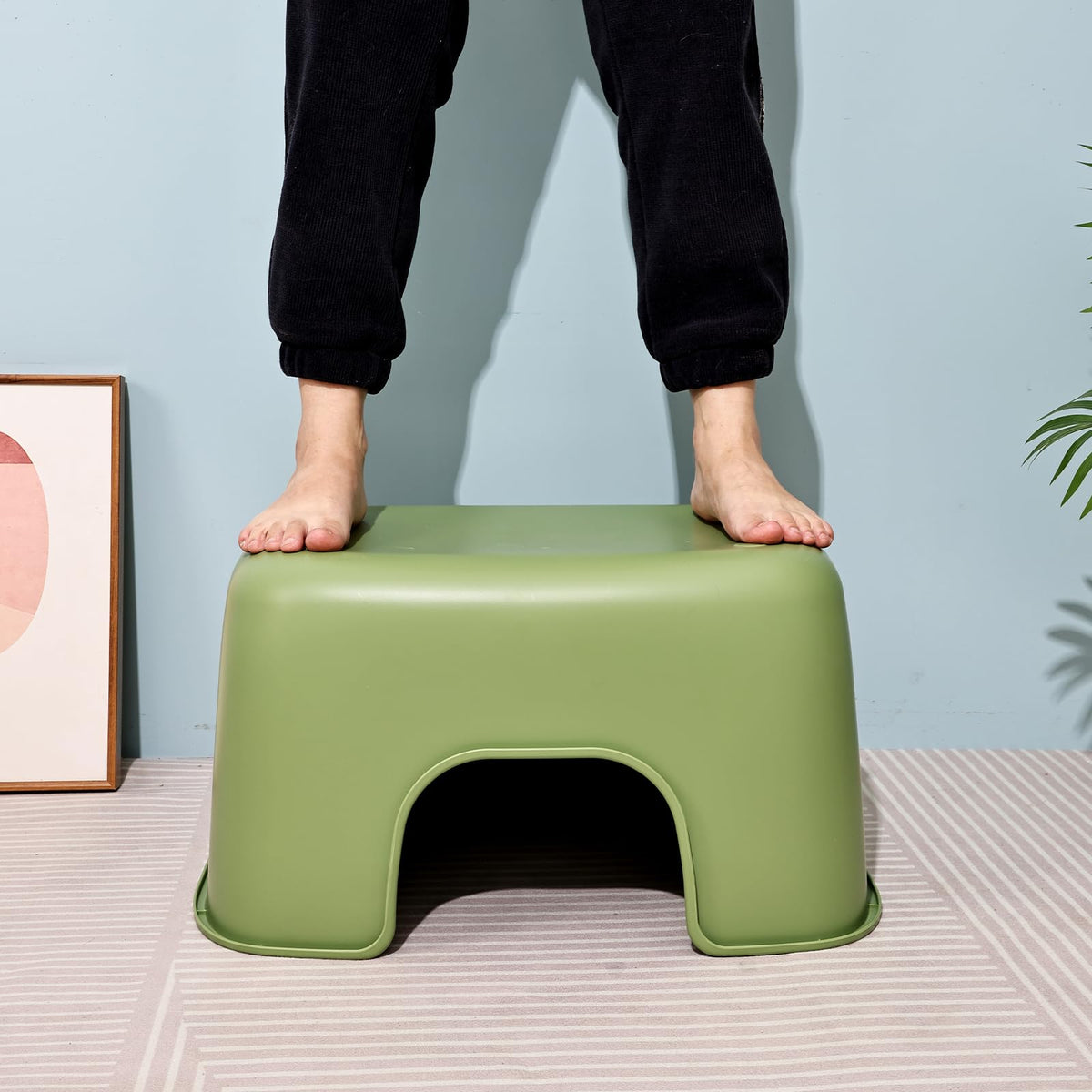 Extra Large Low Entry Cat Litter Box with High Sides L136