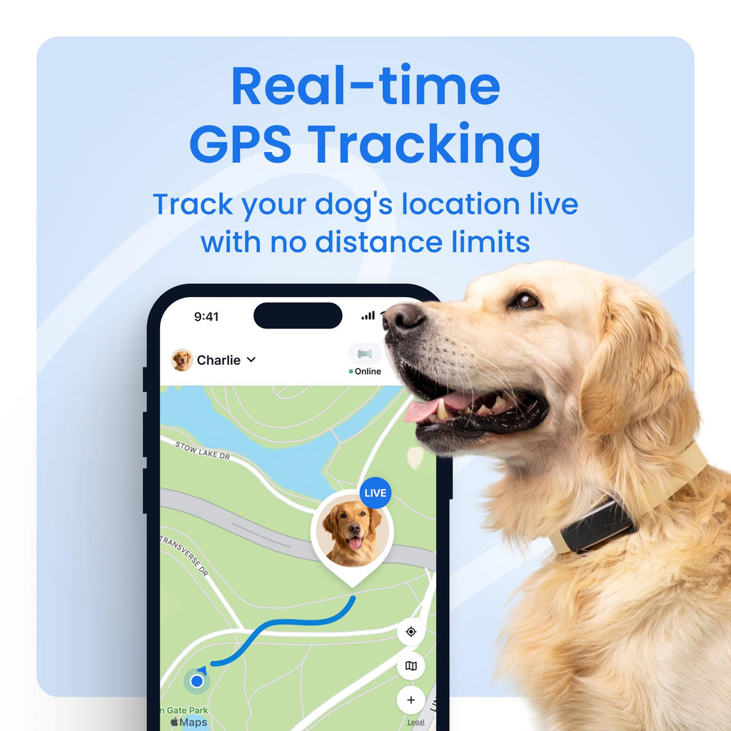 Black Smart Dog GPS Tracker with Virtual Fence Y2781