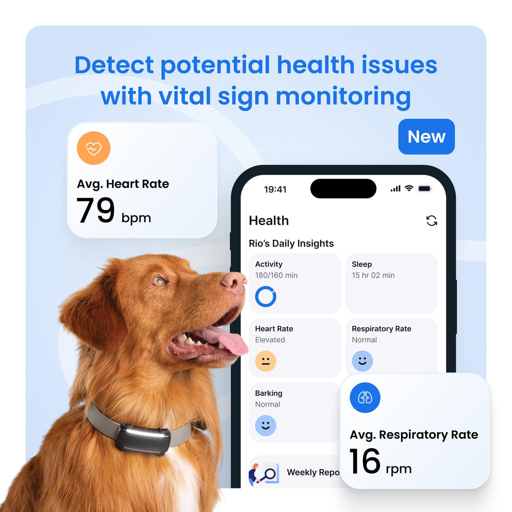 Black Smart Dog GPS Tracker with Virtual Fence Y2781