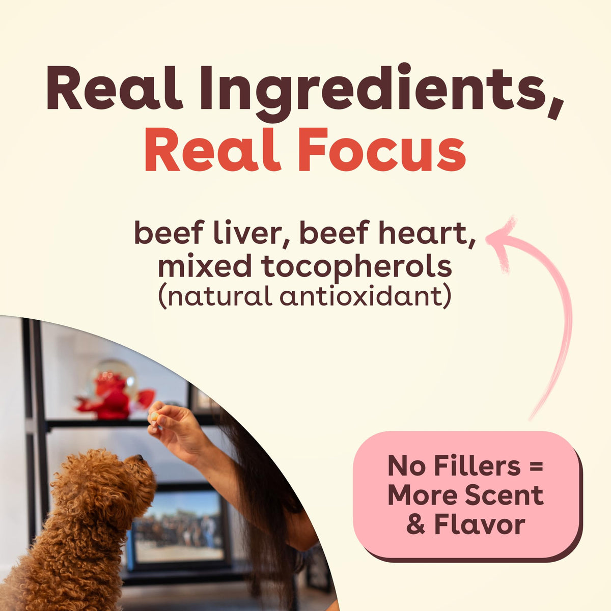 Freeze Dried Training Treats for Dogs & Puppies Beef Liver 4 oz U41434