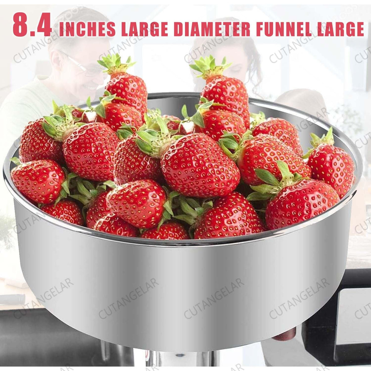 450W Stainless Steel Electric Sauce Maker W98036