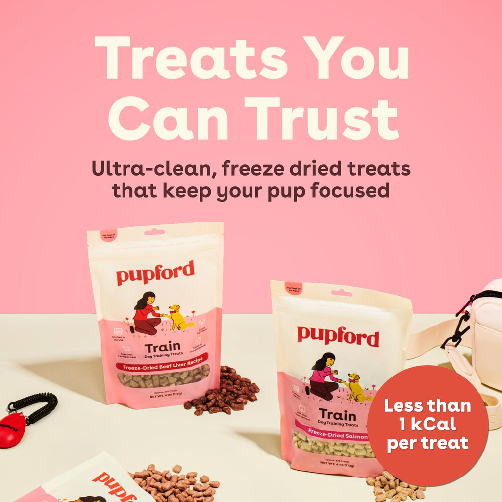 Freeze Dried Training Treats for Dogs & Puppies Beef Liver 4 oz U41434