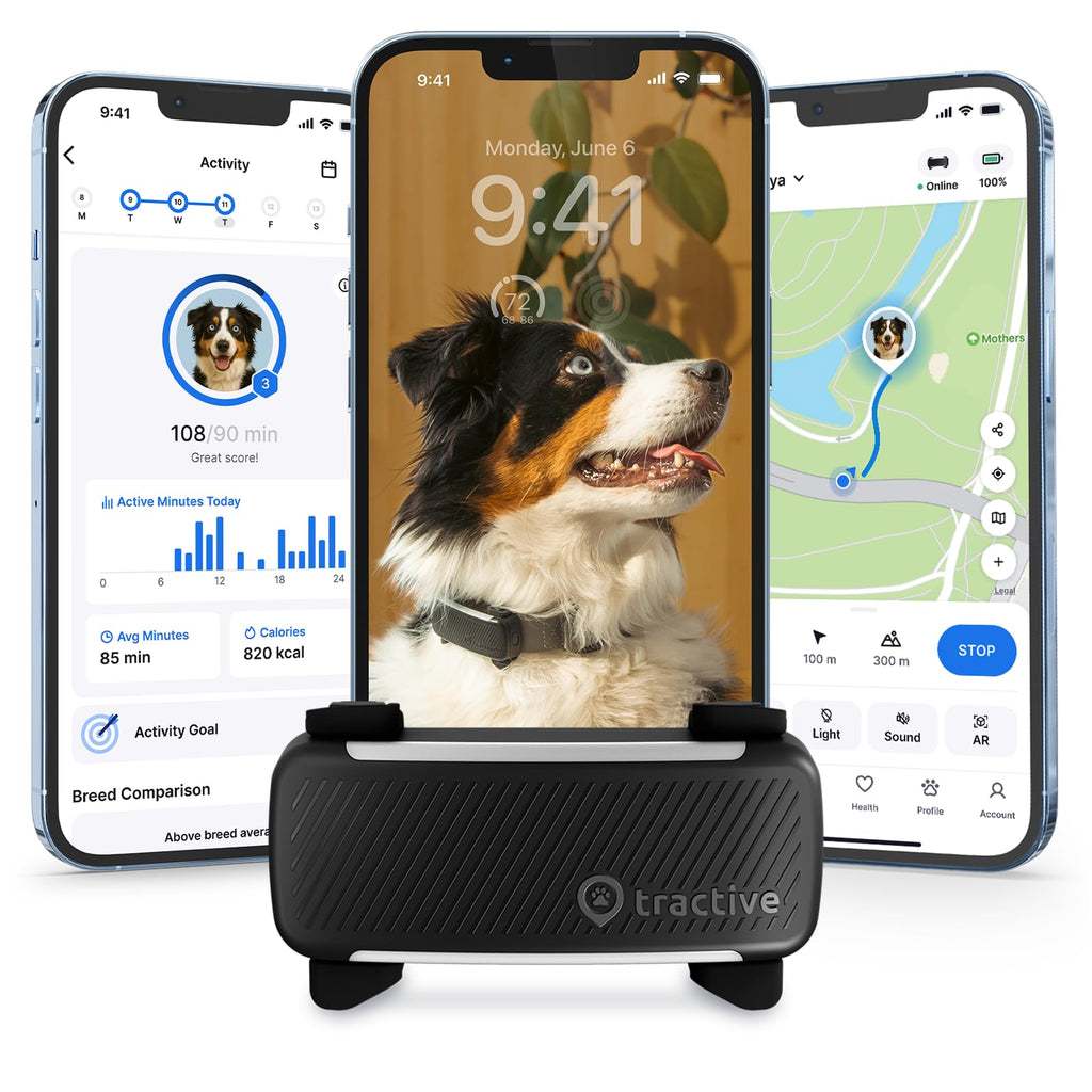 Black Smart Dog GPS Tracker with Virtual Fence Y2781