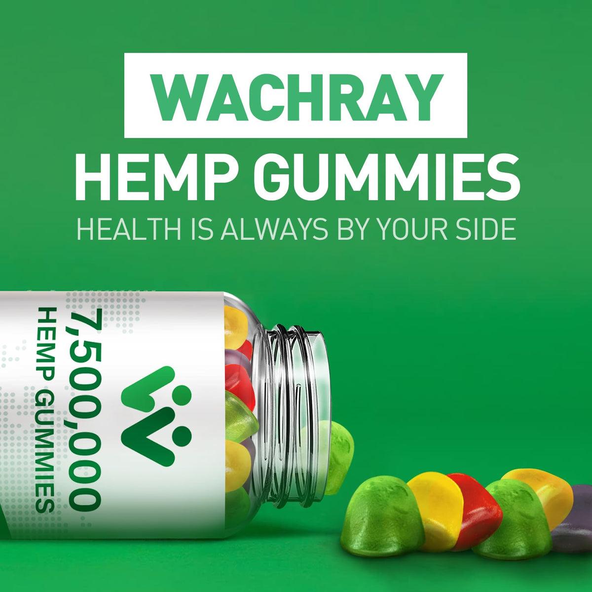 Organic Hemp Gummies 240 Count F419