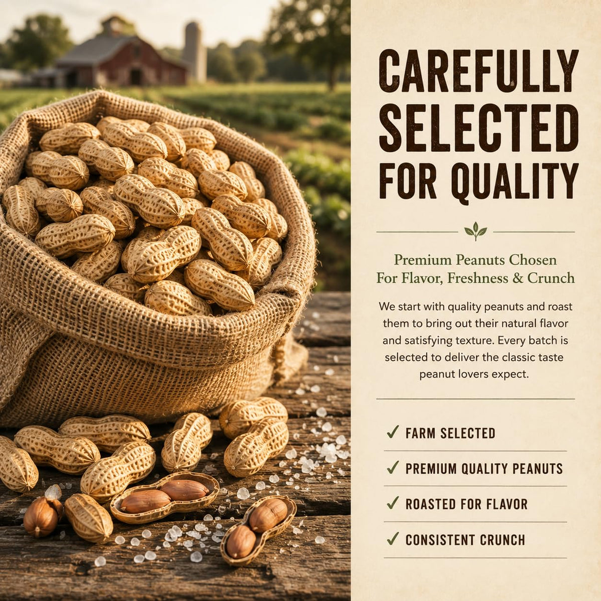 Roasted Salted Peanuts In Shell 4 LB A6031