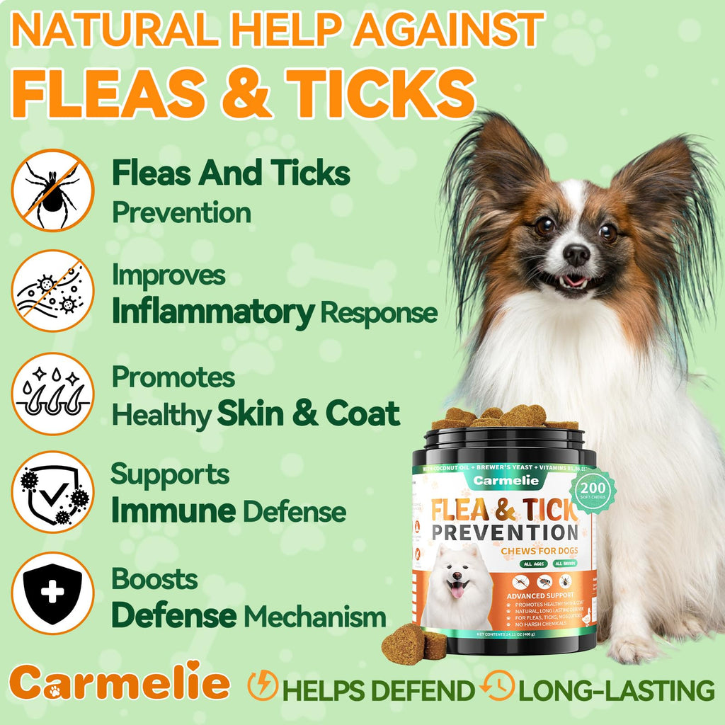 Flea and Tick Prevention for Dogs Chewables 200 Ct Q997