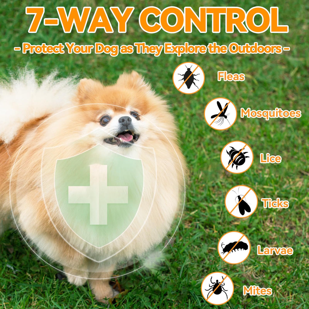 Flea and Tick Prevention for Dogs Chewables 200 Ct Q997