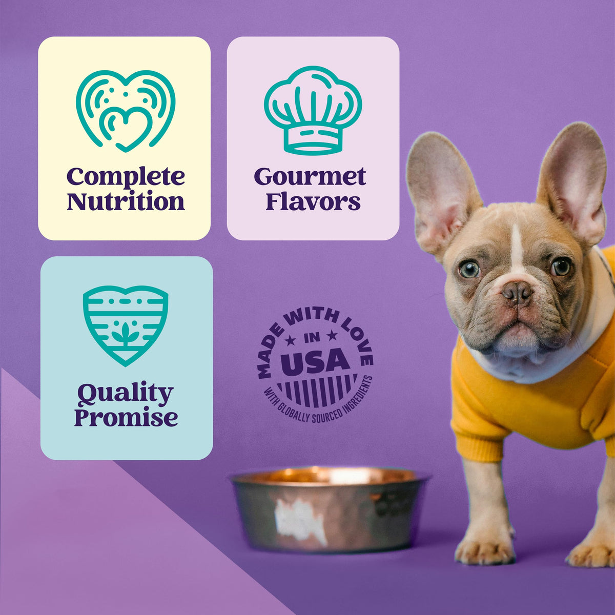 Turkey Stew Wet Dog Food 13.2 oz Can Pack of 12 Y9557