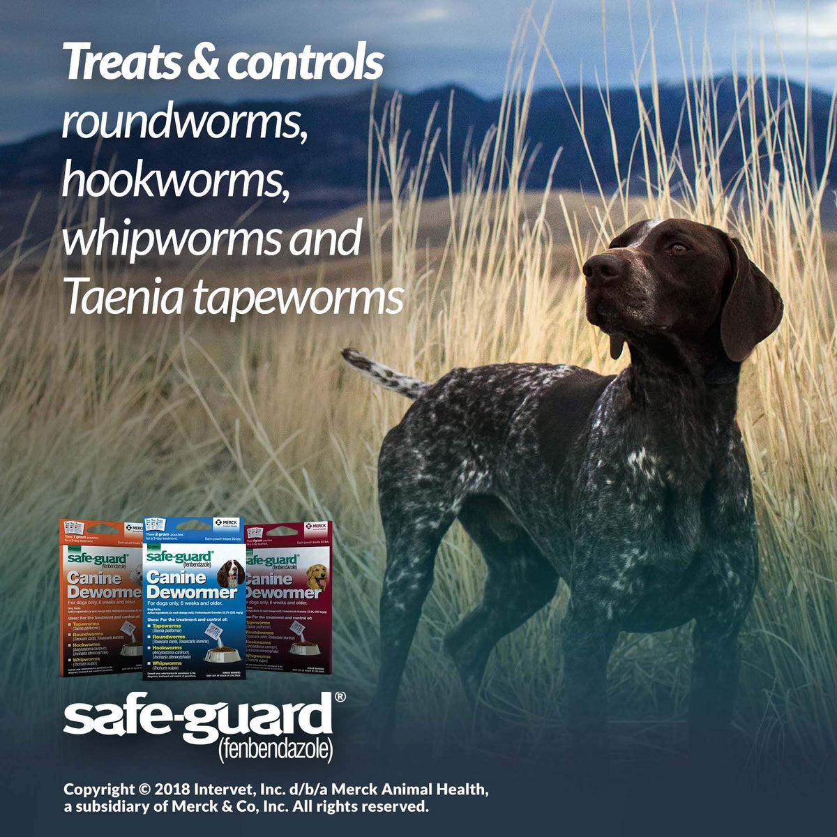Canine Dewormer 2gm Pouch Pack of 3 O4242