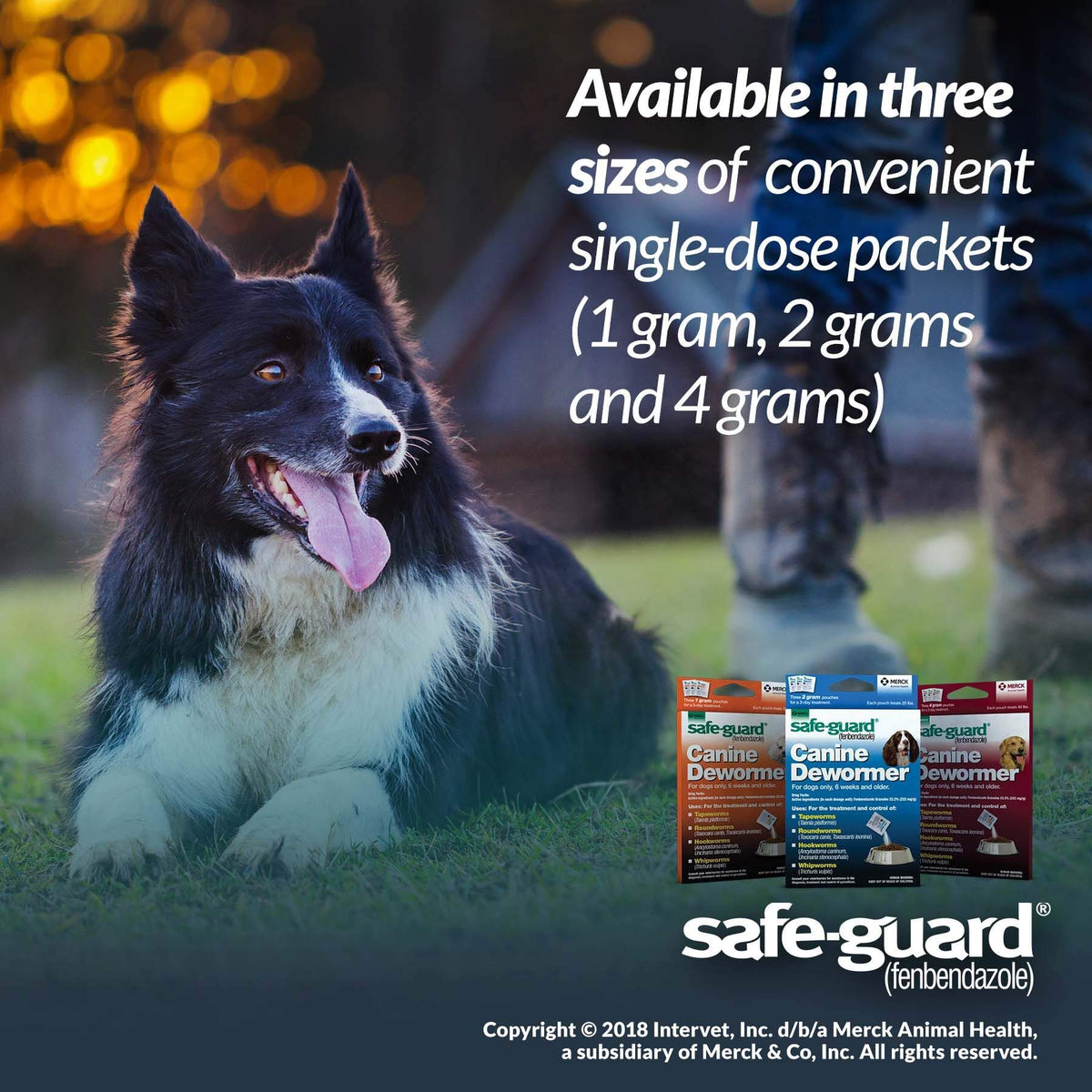 Canine Dewormer 2gm Pouch Pack of 3 O4242