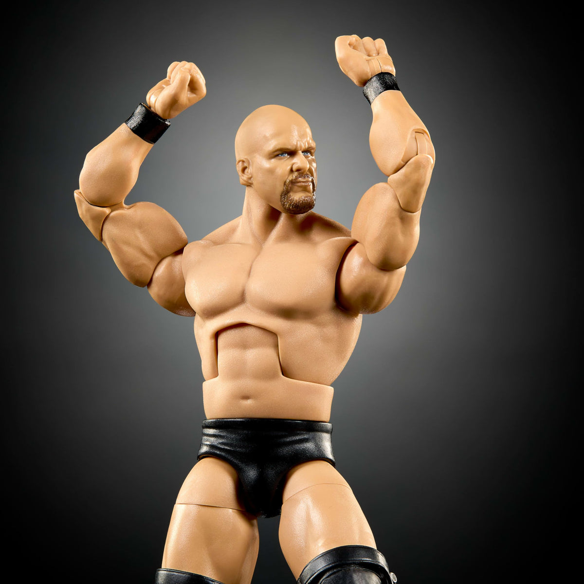 WWE Elite Collection Action Figure & Accessories X3376