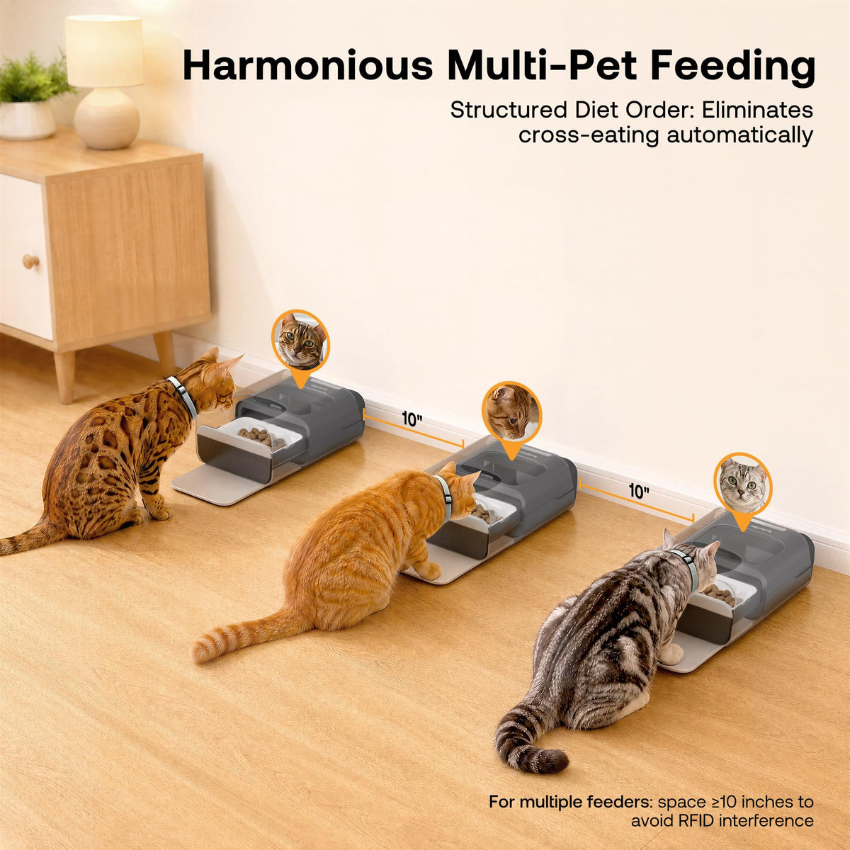 Automatic Cat Feeder with RFID Collar Sensor, Black Q927