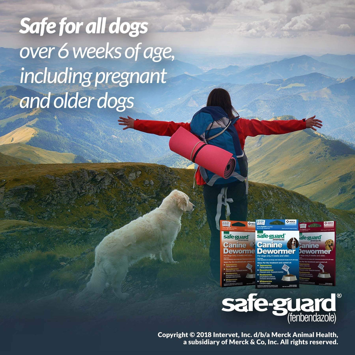 Canine Dewormer 2gm Pouch Pack of 3 O4242