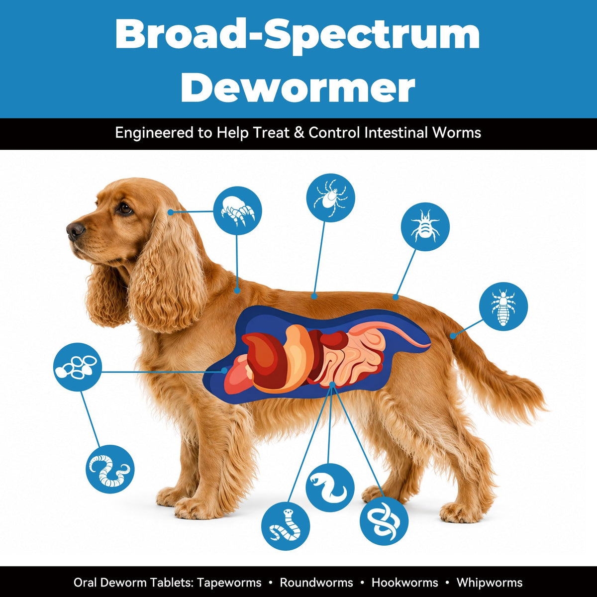 Fenbendazole 222mg Dewormer for Dogs, 30 Tablets Z246
