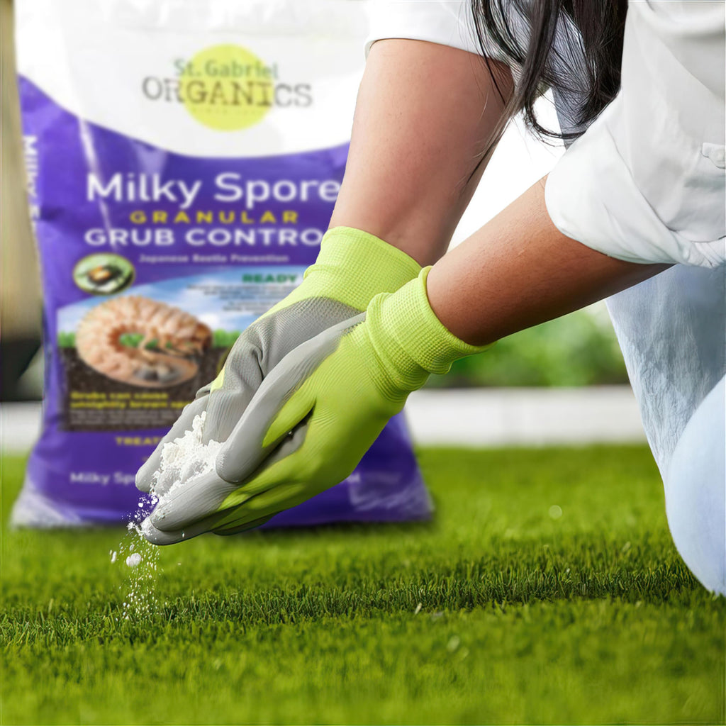 Milky Spore Granular Grub Control S933919
