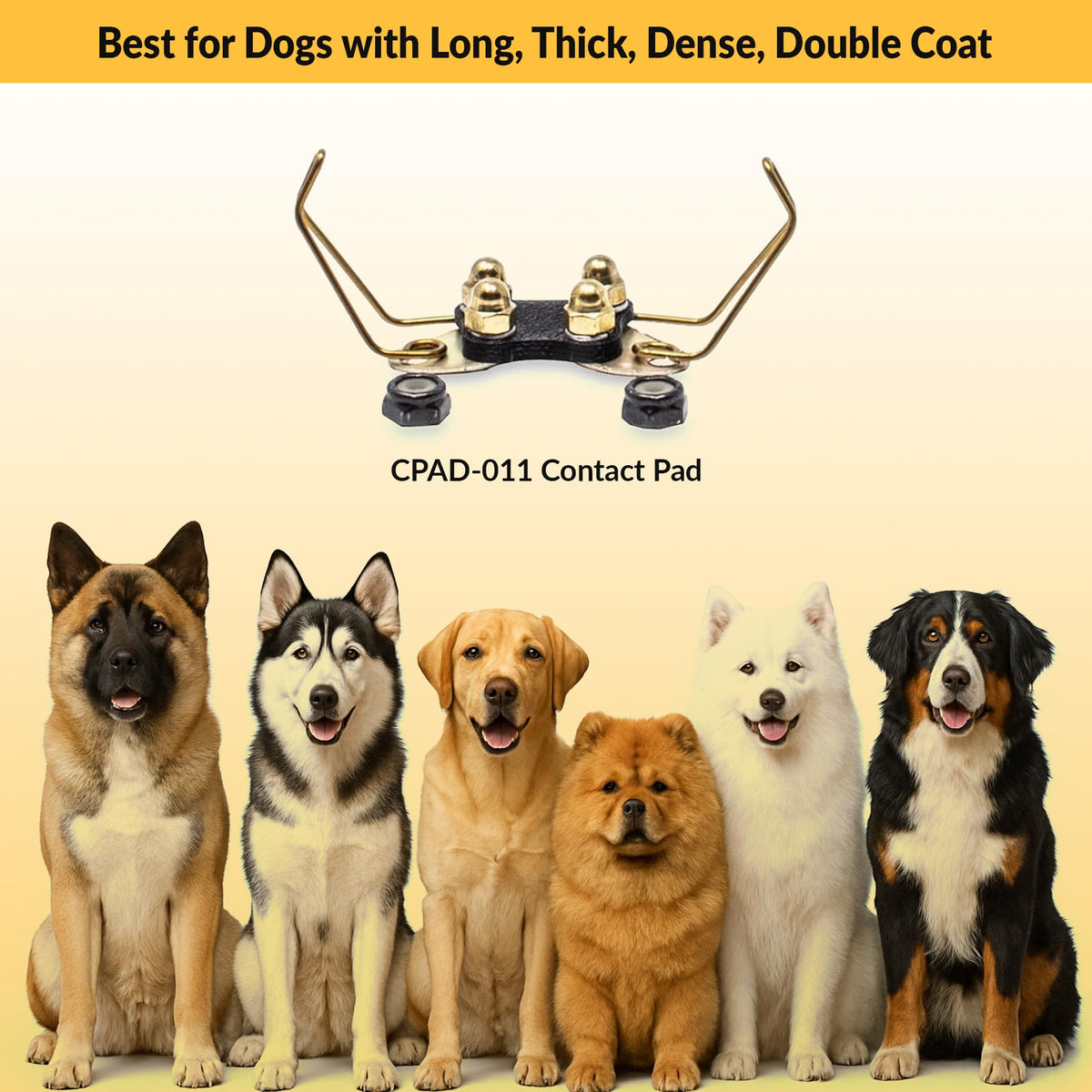 Brass Contact Pads for Training Collars T145
