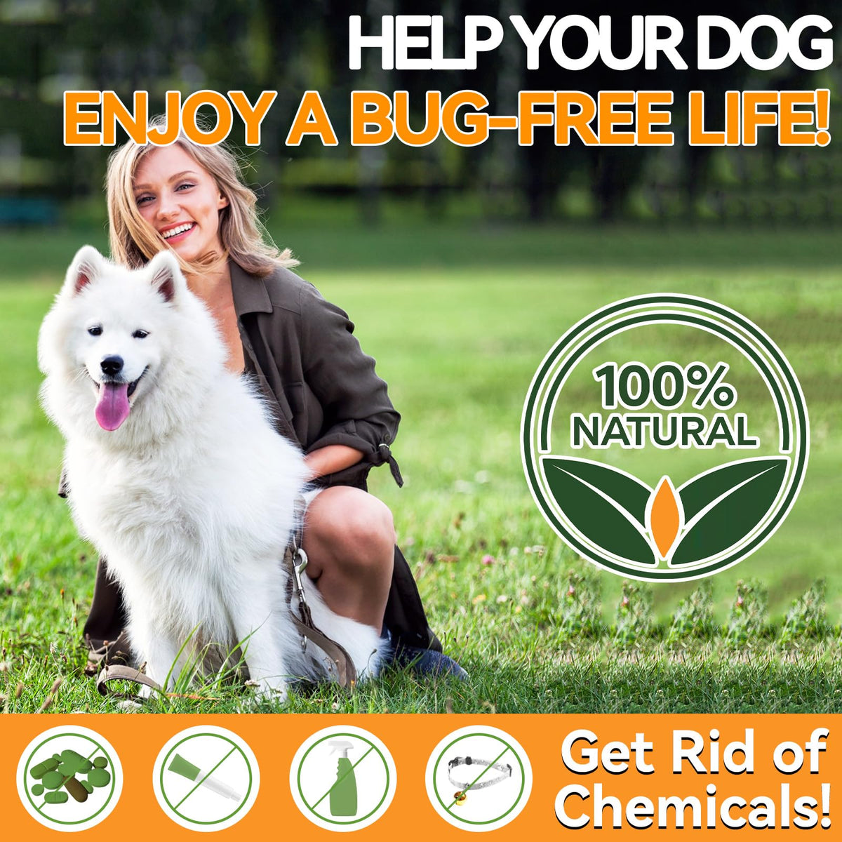 Flea and Tick Prevention for Dogs Chewables 200 Ct Q997