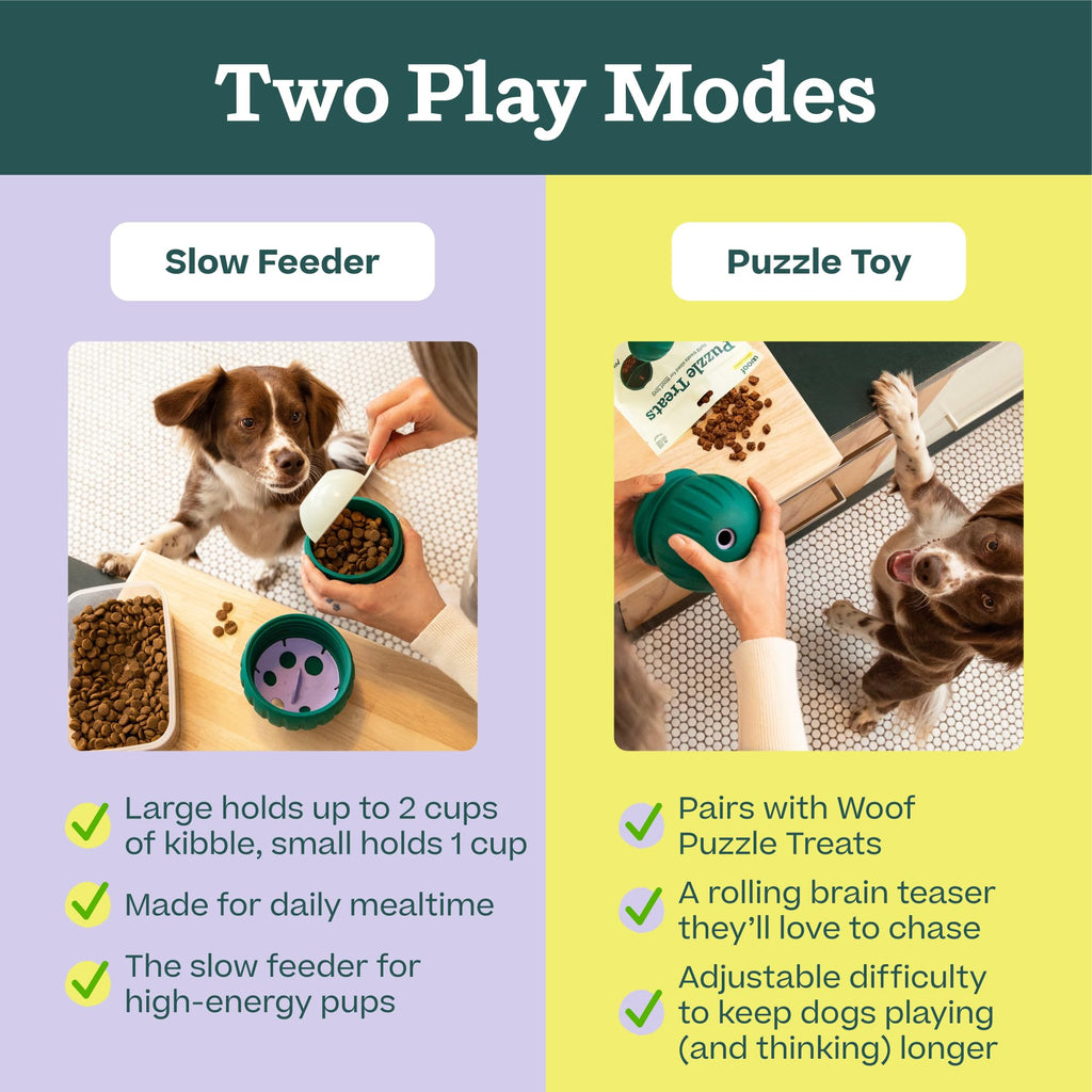Dog Puzzle Slow Feeder Toy K437