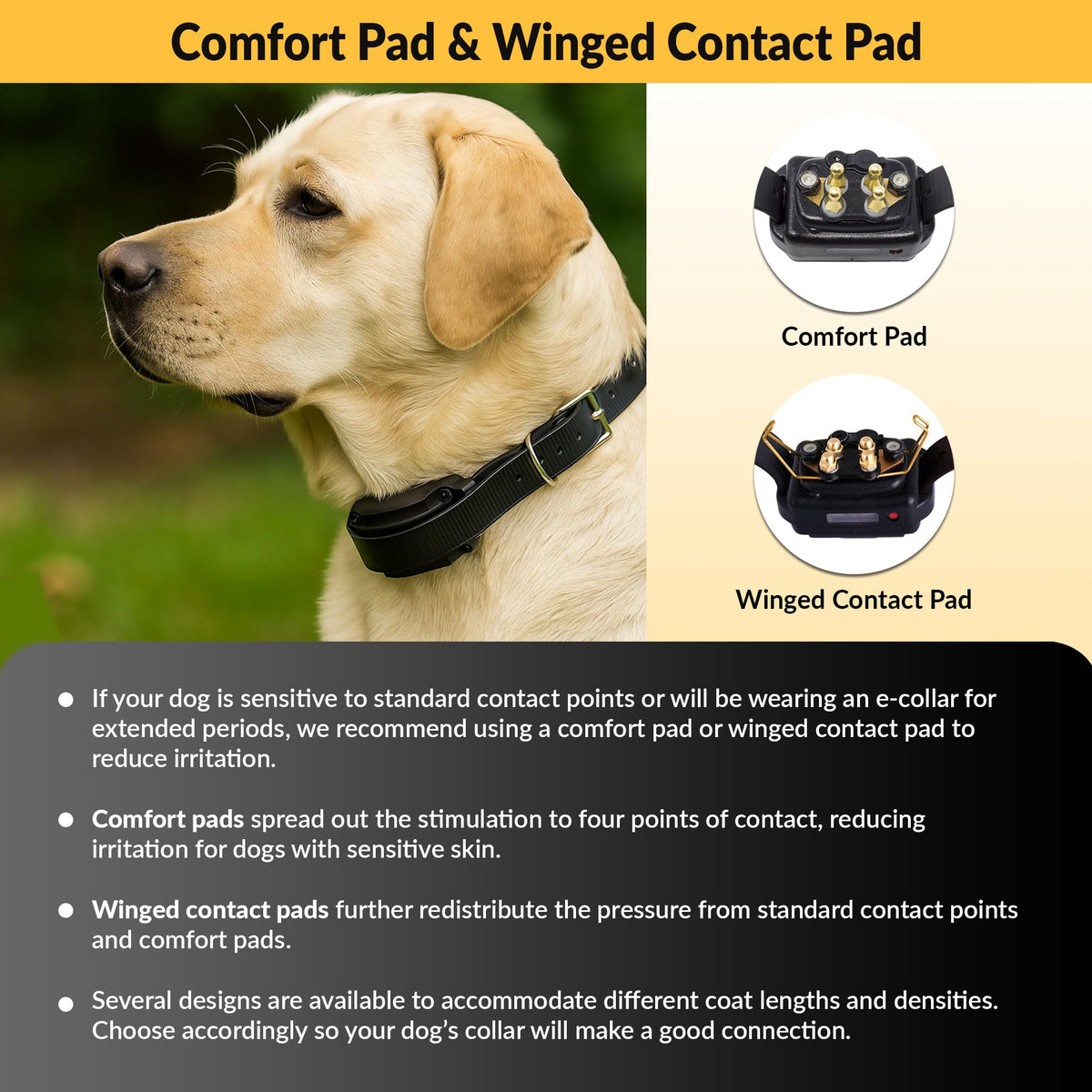 Brass Contact Pads for Training Collars T145