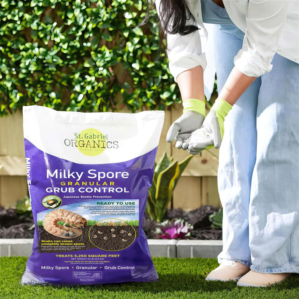 Milky Spore Granular Grub Control S933919