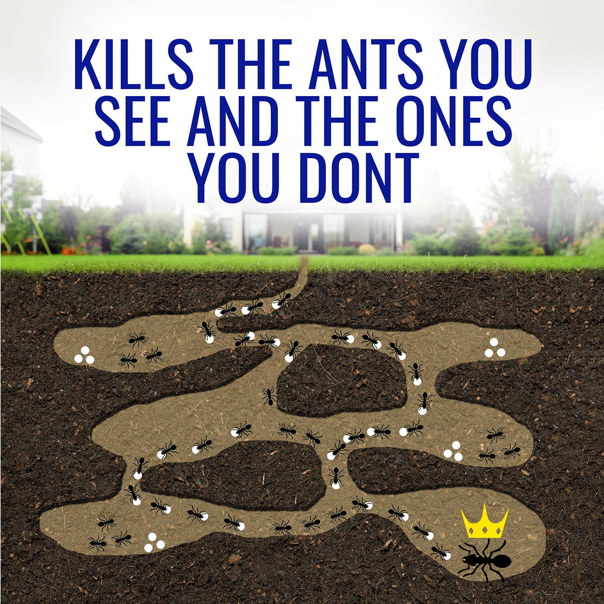 1 oz Liquid Ant Killer U5183