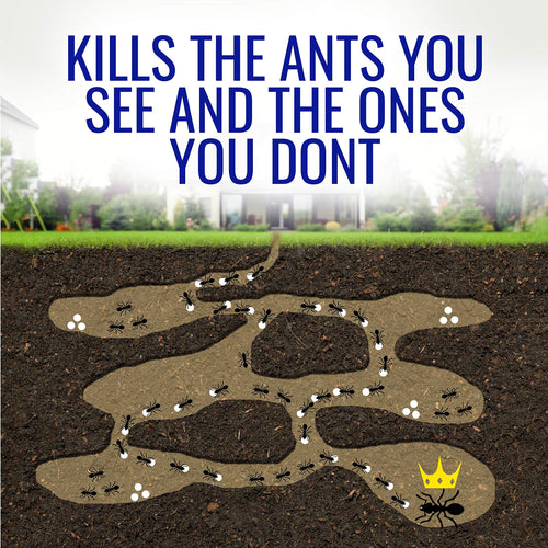 1 oz Liquid Ant Killer U5183